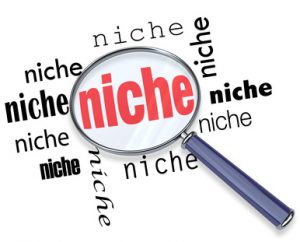A magnifying glass hovering over several instances of the word niche, symbolizing targeted marketing of small demographic groups
